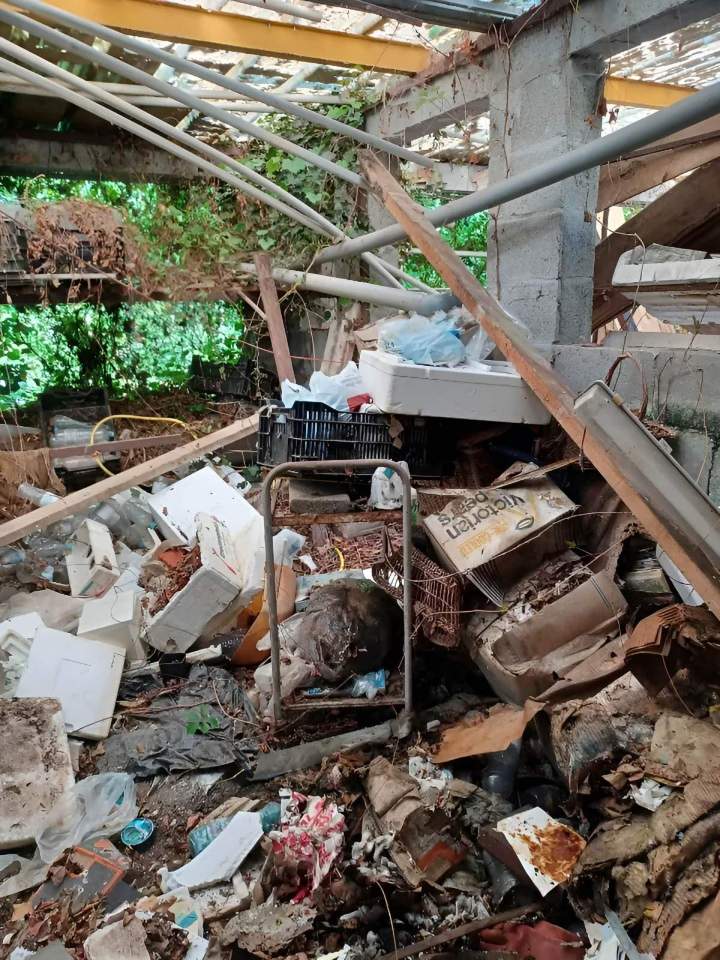 Nettoyage diogène Indre-et-Loire